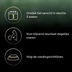 Pro Plan Senior LiveClear Katten Droogvoer - Kalkoen - 1,4 Kg 21 Pro Plan Senior LiveClear Katten Droogvoer - Kalkoen - 1,4 Kg -Kattenbenodigdheden 1200x1200 170