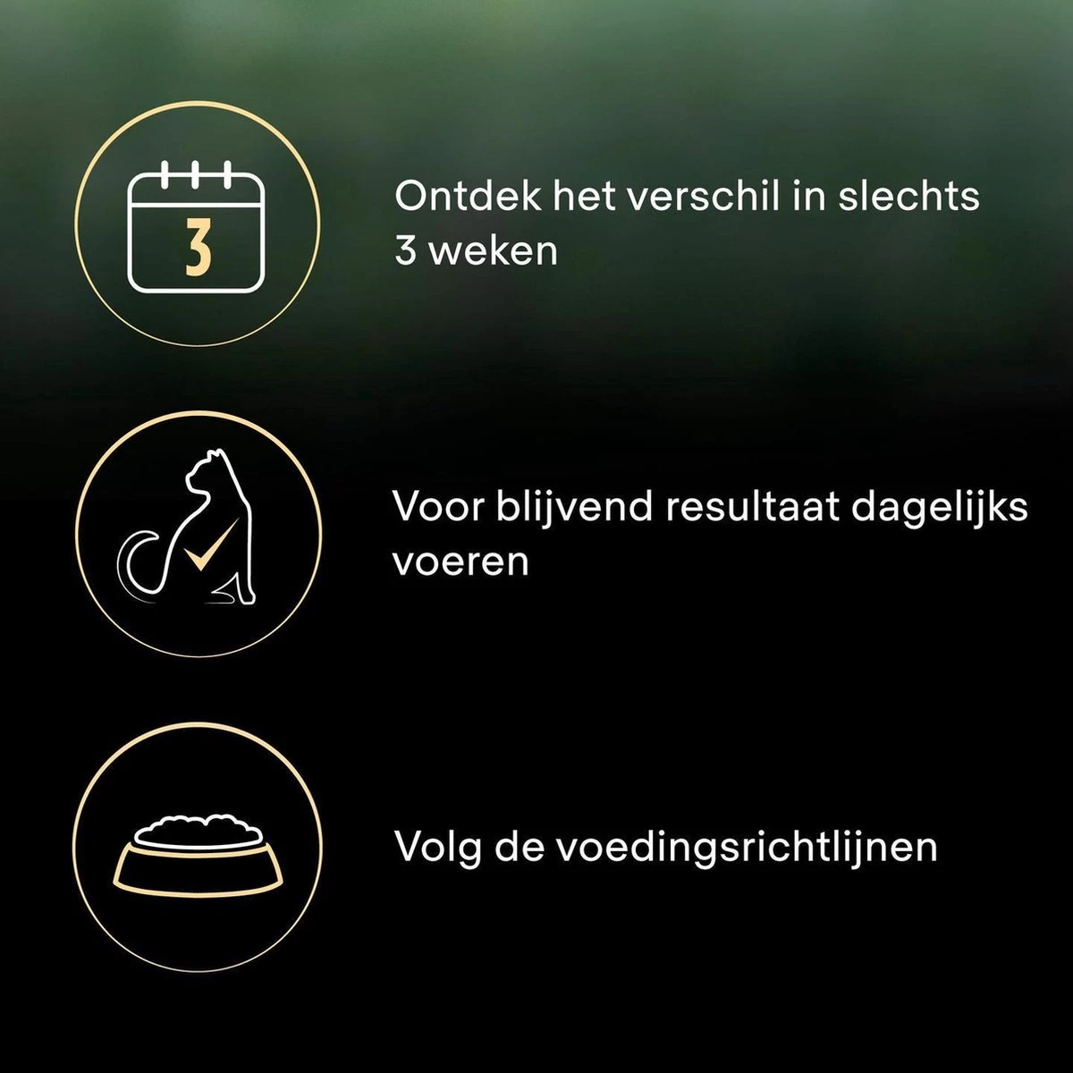 Pro Plan Senior LiveClear Katten Droogvoer - Kalkoen - 1,4 Kg 11 Pro Plan Senior LiveClear Katten Droogvoer - Kalkoen - 1,4 Kg - Afbeelding 9