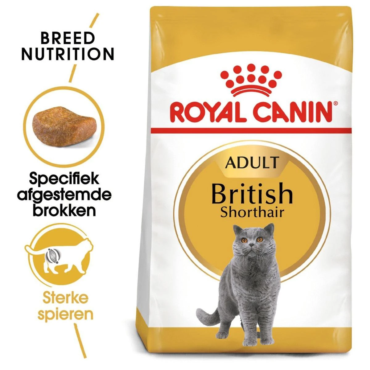 Royal Canin British Shorthair Adult - Kattenvoer - 4 Kg 11 Royal Canin British Shorthair Adult - Kattenvoer - 4 Kg - Afbeelding 9