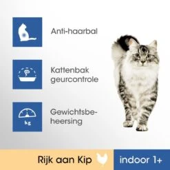 Perfect Fit Indoor 1+ Katten Droogvoer - Kip - 4 X 750 Gr 11 Perfect Fit Indoor 1+ Katten Droogvoer - Kip - 4 X 750 Gr -Kattenbenodigdheden 1200x1200 192