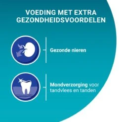 Purina ONE Senior - Kattenvoer Kip & Volkoren Granen - 3 Kg -Kattenbenodigdheden 1200x1200 198