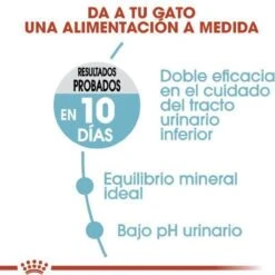 Royal Canin Urinary Care - Kattenvoer - 10 Kg -Kattenbenodigdheden 1200x1200 201