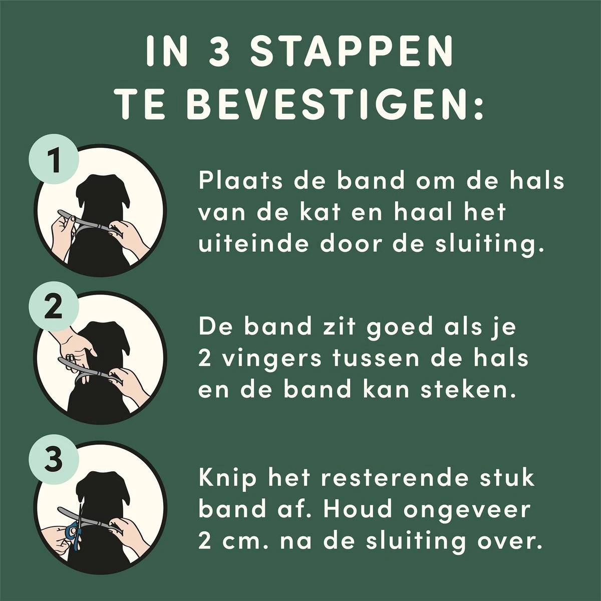 3 Stuks Vlooienband Kat Tekenband - 100% Natuurlijk Veilig En Waterbestendig 7 3 Stuks Vlooienband Kat Tekenband - 100% Natuurlijk Veilig En Waterbestendig - Afbeelding 5