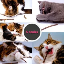 Make Me Purr Matatabi Sticks (5 Stuks) - Silver Vine Kattenkruid Stokjes - Catnip Effect Kauwstokjes - Kattensnack Kattensnoepjes - Kattenspeelgoed Kattenspeeltjes