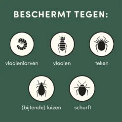 3 Stuks Vlooienband Kat Tekenband - 100% Natuurlijk Veilig En Waterbestendig 17 3 Stuks Vlooienband Kat Tekenband - 100% Natuurlijk Veilig En Waterbestendig -Kattenbenodigdheden 1200x1200 23