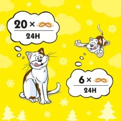 Catisfactions Kattensnack - Zalm - 6 X 60 Gr 10 Catisfactions Kattensnack - Zalm - 6 X 60 Gr -Kattenbenodigdheden 1200x1200 231