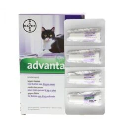 Kattenbenodigdheden -Kattenbenodigdheden 1200x1200