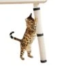 Make Me Purr Krabmat Met Klittenband (63x25 Cm) - Sisal Krabpaal Voor Katten - Kat Krab Mat Voor Tafelpoot - Tafel Krab Paal Meubel - Kitten Krappaal - Krabmeubel Van Sisaltouw - Meubelbescherming 2 Make Me Purr Krabmat Met Klittenband (63x25 Cm) - Sisal Krabpaal Voor Katten - Kat Krab Mat Voor Tafelpoot - Tafel Krab Paal Meubel - Kitten Krappaal - Krabmeubel Van Sisaltouw - Meubelbescherming -Kattenbenodigdheden 1200x1200 257