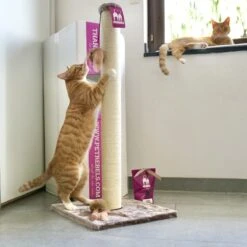 Petrebels Maine 90 Krabpaal - Cappuccino - 40 X 40 X 90 Cm - Extra Stabiel -Kattenbenodigdheden 1200x1200 276