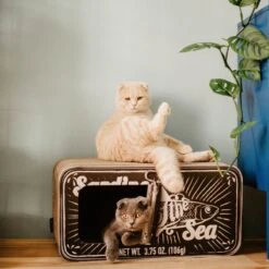 District 70 SARDINE - Design Katten Krabmeubel Van Gerecycled Karton - Zwart, Wit Of Perzik - Afmeting 60x30x30 Cm - Perzik 20 District 70 SARDINE - Design Katten Krabmeubel Van Gerecycled Karton - Zwart, Wit Of Perzik - Afmeting 60x30x30 Cm - Perzik -Kattenbenodigdheden 1200x1200 283