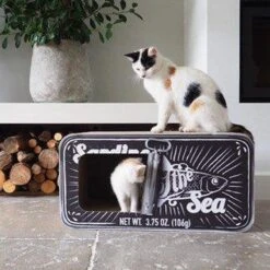 District 70 SARDINE - Design Katten Krabmeubel Van Gerecycled Karton - Zwart, Wit Of Perzik - Afmeting 60x30x30 Cm - Perzik 35 District 70 SARDINE - Design Katten Krabmeubel Van Gerecycled Karton - Zwart, Wit Of Perzik - Afmeting 60x30x30 Cm - Perzik -Kattenbenodigdheden 1200x1200 292