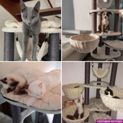 Petrebels Catharina 160 Krabpaal - Creme - 2 Hangmatten - Grote Katten 16 Petrebels Catharina 160 Krabpaal - Creme - 2 Hangmatten - Grote Katten -Kattenbenodigdheden 1200x1200 379