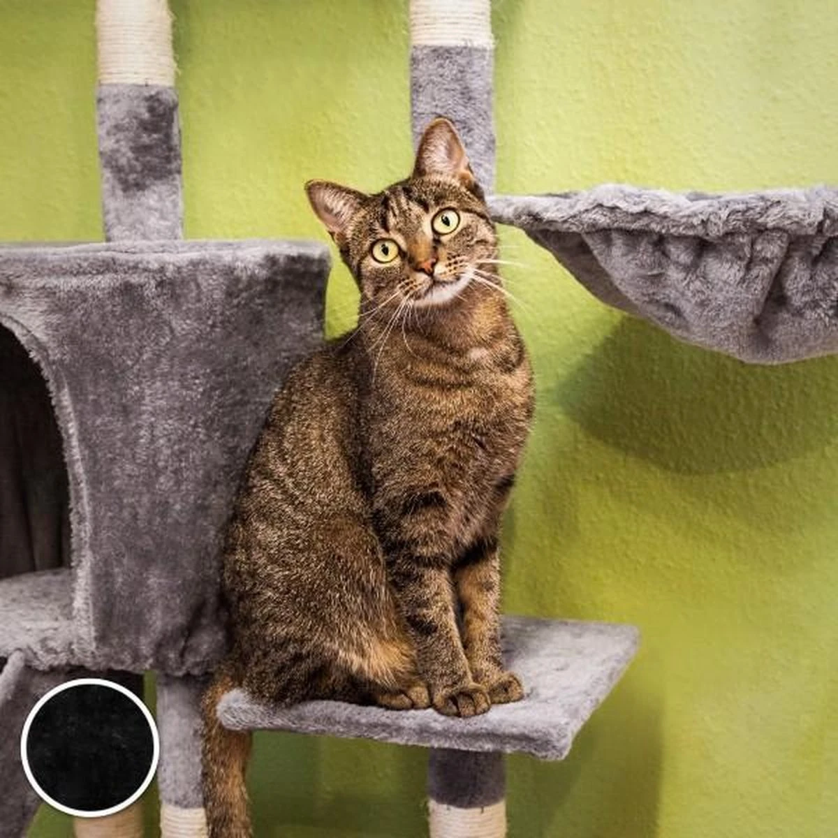 TecTake Dominik Krabpaal - Zwart - 144 Cm 4 TecTake Dominik Krabpaal - Zwart - 144 Cm - Afbeelding 2