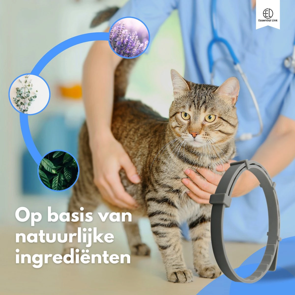 Essential Link Teken- En Vlooienband - Vlooienband Kat – Anti Vlooien – Vlooienmiddel - Tekenband - Diervriendelijk 4 Essential Link Teken- En Vlooienband - Vlooienband Kat – Anti Vlooien – Vlooienmiddel - Tekenband - Diervriendelijk - Afbeelding 2