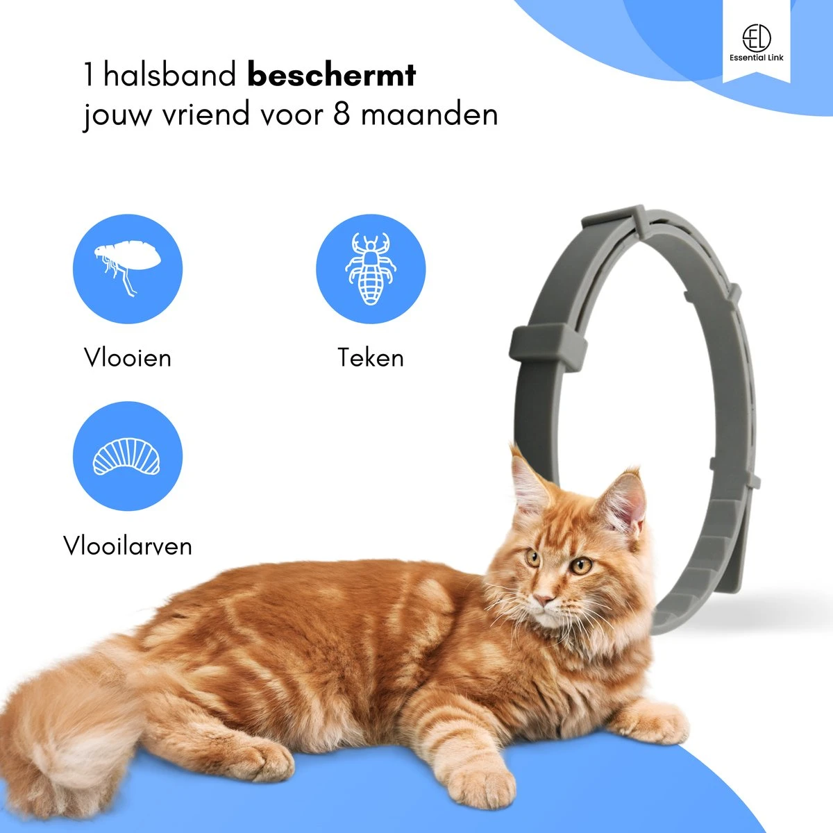 Essential Link Teken- En Vlooienband - Vlooienband Kat – Anti Vlooien – Vlooienmiddel - Tekenband - Diervriendelijk 5 Essential Link Teken- En Vlooienband - Vlooienband Kat – Anti Vlooien – Vlooienmiddel - Tekenband - Diervriendelijk - Afbeelding 3