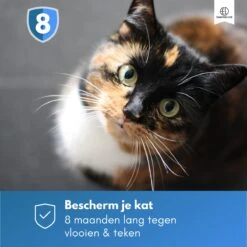 Essential Link Teken- En Vlooienband - Vlooienband Kat – Anti Vlooien – Vlooienmiddel - Tekenband - Diervriendelijk 19 Essential Link Teken- En Vlooienband - Vlooienband Kat – Anti Vlooien – Vlooienmiddel - Tekenband - Diervriendelijk -Kattenbenodigdheden 1200x1200 42