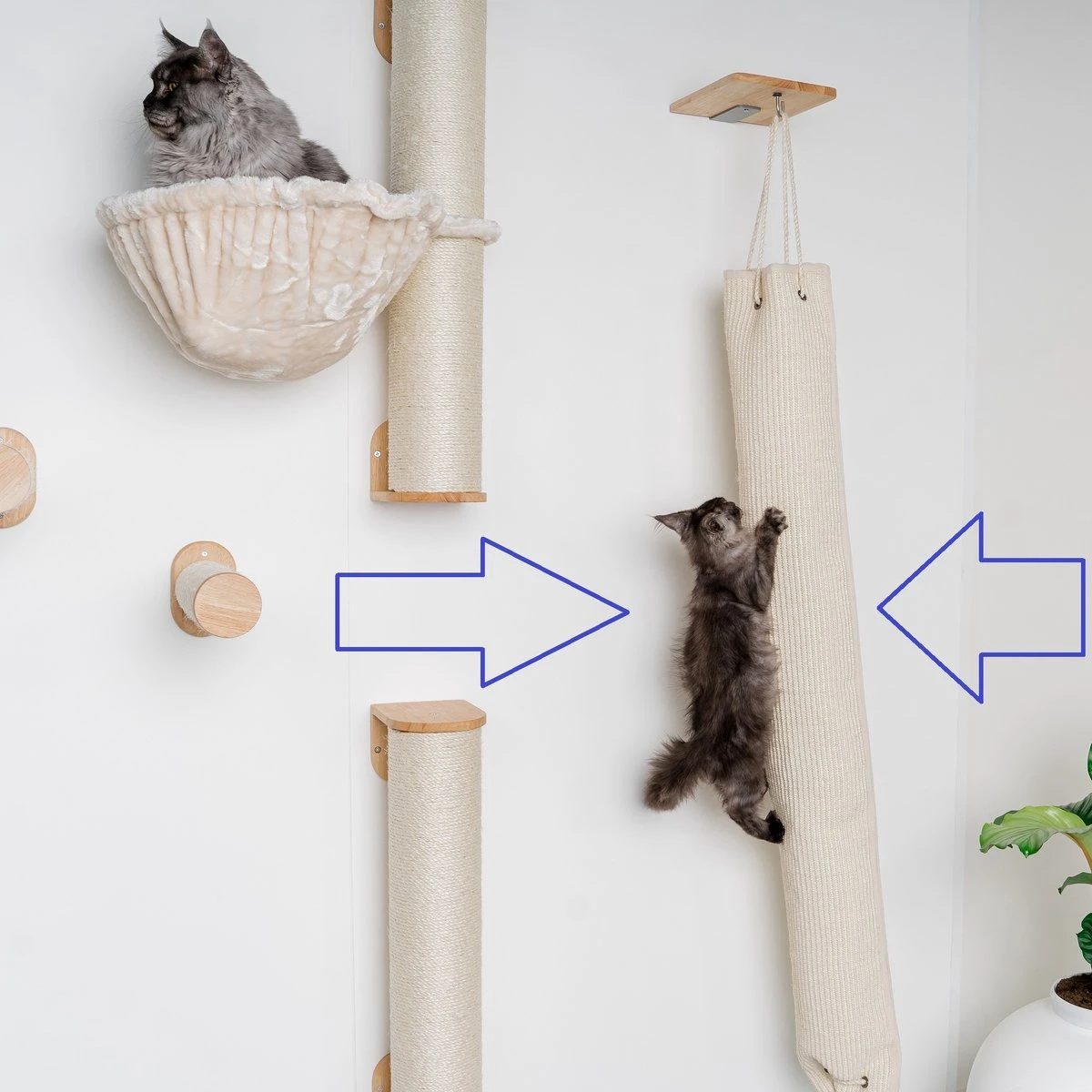 RHRQuality Wandmeubel Wandmontage Klimmuur Kat 175 X 16cm Klim En Klauterzak Beige Wand Muur Krabpaal Katten Muurbevestiging 3 RHRQuality Wandmeubel Wandmontage Klimmuur Kat 175 X 16cm Klim En Klauterzak Beige Wand Muur Krabpaal Katten Muurbevestiging