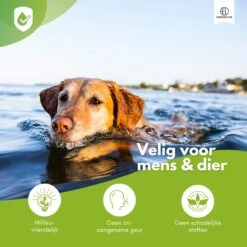 Essential Link Teken- En Vlooienband - Vlooienband Kat/Hond – Anti Vlooien – Vlooienmiddel - Tekenband - Diervriendelijk 13 Essential Link Teken- En Vlooienband - Vlooienband Kat/Hond – Anti Vlooien – Vlooienmiddel - Tekenband - Diervriendelijk -Kattenbenodigdheden 1200x1200 46