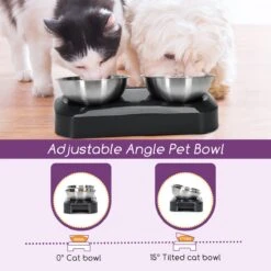 Nobleza Katten Voerbakjes - Ergonomische Dubbele Voerbak - Anti Braak Voerbak Voor Katten - Zwart - Dubbel - RVS 17 Nobleza Katten Voerbakjes - Ergonomische Dubbele Voerbak - Anti Braak Voerbak Voor Katten - Zwart - Dubbel - RVS -Kattenbenodigdheden 1200x1200 460