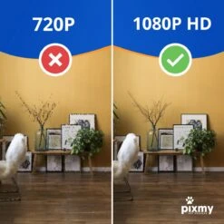 PIXMY - Automatische Voerbak Kat - 4L - Wi-Fi - Met App En Full HD Camera - Voerbak Kat 23 PIXMY - Automatische Voerbak Kat - 4L - Wi-Fi - Met App En Full HD Camera - Voerbak Kat -Kattenbenodigdheden 1200x1200 468