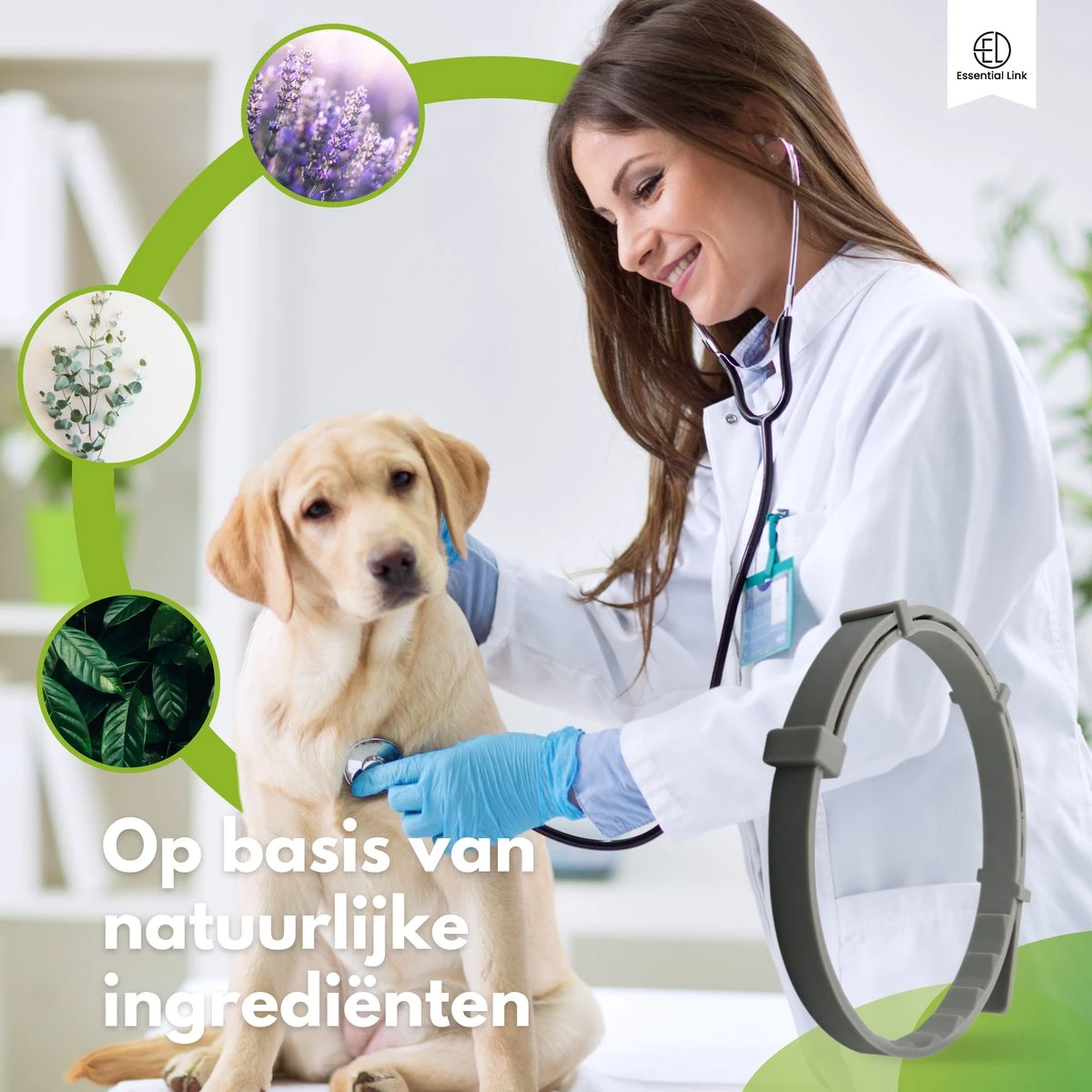 Essential Link Teken- En Vlooienband - Vlooienband Kat/Hond – Anti Vlooien – Vlooienmiddel - Tekenband - Diervriendelijk 9 Essential Link Teken- En Vlooienband - Vlooienband Kat/Hond – Anti Vlooien – Vlooienmiddel - Tekenband - Diervriendelijk - Afbeelding 7
