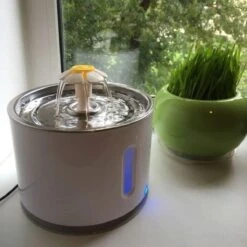 Merkloos Drinkfontein Voor Hond En Kat - RVS Waterbak - Dieren Drinkbak - Vers Water Fontein - Drinkfontein Katten- 3 Standen - 2.4 Liter - Incl. 1 Koolstoffilter 17 Merkloos Drinkfontein Voor Hond En Kat - RVS Waterbak - Dieren Drinkbak - Vers Water Fontein - Drinkfontein Katten- 3 Standen - 2.4 Liter - Incl. 1 Koolstoffilter -Kattenbenodigdheden 1200x1200 474