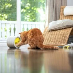 BeOneBreed Intellikatt - Slowfeeder Voor Katten - Voerpuzzel Aanbevolen Door Dierenartsen En Kattengedragsdeskundigen 14 BeOneBreed Intellikatt - Slowfeeder Voor Katten - Voerpuzzel Aanbevolen Door Dierenartsen En Kattengedragsdeskundigen -Kattenbenodigdheden 1200x1200 480