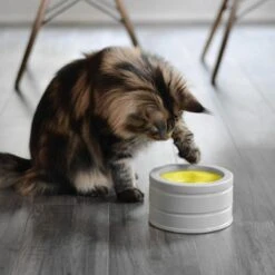 BeOneBreed Intellikatt - Slowfeeder Voor Katten - Voerpuzzel Aanbevolen Door Dierenartsen En Kattengedragsdeskundigen 15 BeOneBreed Intellikatt - Slowfeeder Voor Katten - Voerpuzzel Aanbevolen Door Dierenartsen En Kattengedragsdeskundigen -Kattenbenodigdheden 1200x1200 481