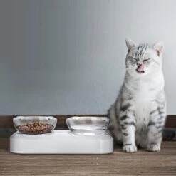 Behave Dubbele Voerbak - Drinkbak - Katten - Verstelbaar - Wit 12 Behave Dubbele Voerbak - Drinkbak - Katten - Verstelbaar - Wit -Kattenbenodigdheden 1200x1200 491