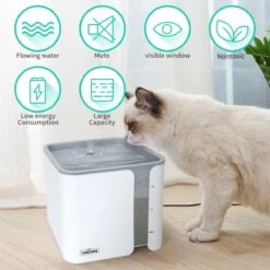 Nobleza USB Drinkfontein Voor Hond/Kat - 2L - Incl. 2 Filters - Wit 16 Nobleza USB Drinkfontein Voor Hond/Kat - 2L - Incl. 2 Filters - Wit -Kattenbenodigdheden 1200x1200 498