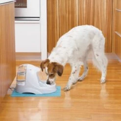 Petsafe Drinkwell Platinum - Drinkfontein - 5 L -Kattenbenodigdheden 1200x1200 505