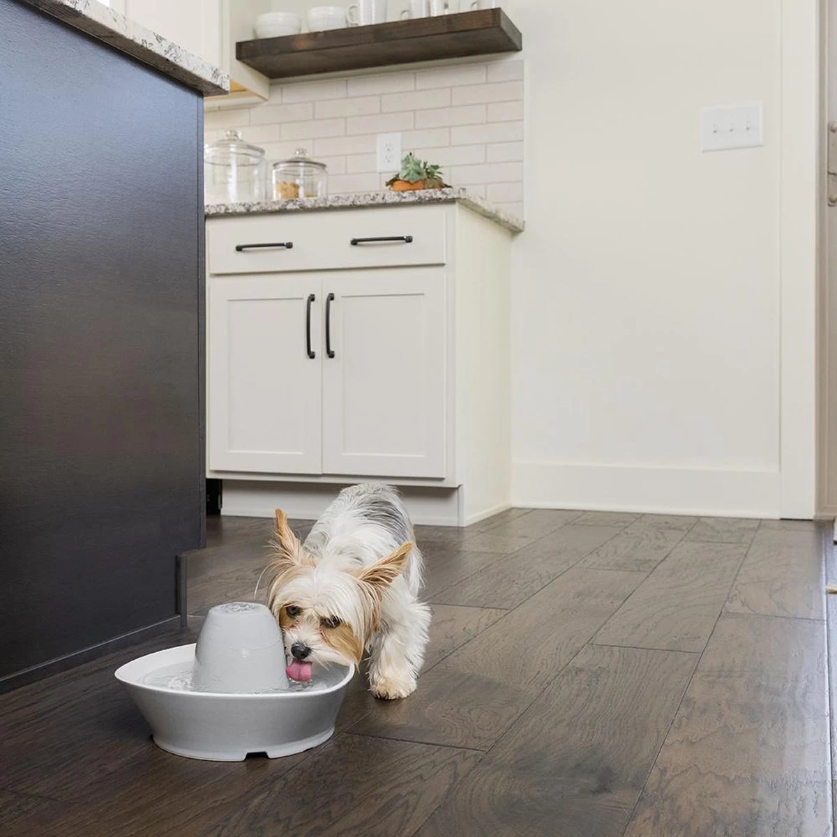 PetSafe® Streamside Ceramic Pet Fountain - Keramische Drinkfontein Voor Katten En Kleine Honden - Water Borrelt Zacht Over De Toren - Door Het Design Van Alle Kanten Bereikbaar - 1,8 Liter - PetSafe Streamside 7 PetSafe® Streamside Ceramic Pet Fountain - Keramische Drinkfontein Voor Katten En Kleine Honden - Water Borrelt Zacht Over De Toren - Door Het Design Van Alle Kanten Bereikbaar - 1,8 Liter - PetSafe Streamside - Afbeelding 5