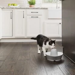 PetSafe® Streamside Ceramic Pet Fountain - Keramische Drinkfontein Voor Katten En Kleine Honden - Water Borrelt Zacht Over De Toren - Door Het Design Van Alle Kanten Bereikbaar - 1,8 Liter - PetSafe Streamside 16 PetSafe® Streamside Ceramic Pet Fountain - Keramische Drinkfontein Voor Katten En Kleine Honden - Water Borrelt Zacht Over De Toren - Door Het Design Van Alle Kanten Bereikbaar - 1,8 Liter - PetSafe Streamside -Kattenbenodigdheden 1200x1200 517