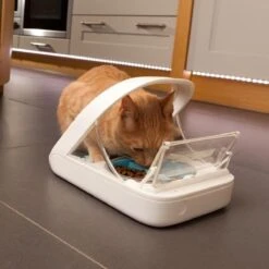 Surefeed Microchip Pet Feeder - Voerbak - 30 X 23 X 22 Cm 17 Surefeed Microchip Pet Feeder - Voerbak - 30 X 23 X 22 Cm -Kattenbenodigdheden 1200x1200 523