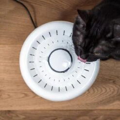 TrevoPet® Drinkfontein Kat - Waterfontein Kat - Kattenfontein - Fluisterstil - Drinkfontein - Drinkbak Kat - 2.5 Liter - Inclusief Filter - Wit 18 TrevoPet® Drinkfontein Kat - Waterfontein Kat - Kattenfontein - Fluisterstil - Drinkfontein - Drinkbak Kat - 2.5 Liter - Inclusief Filter - Wit -Kattenbenodigdheden 1200x1200 528