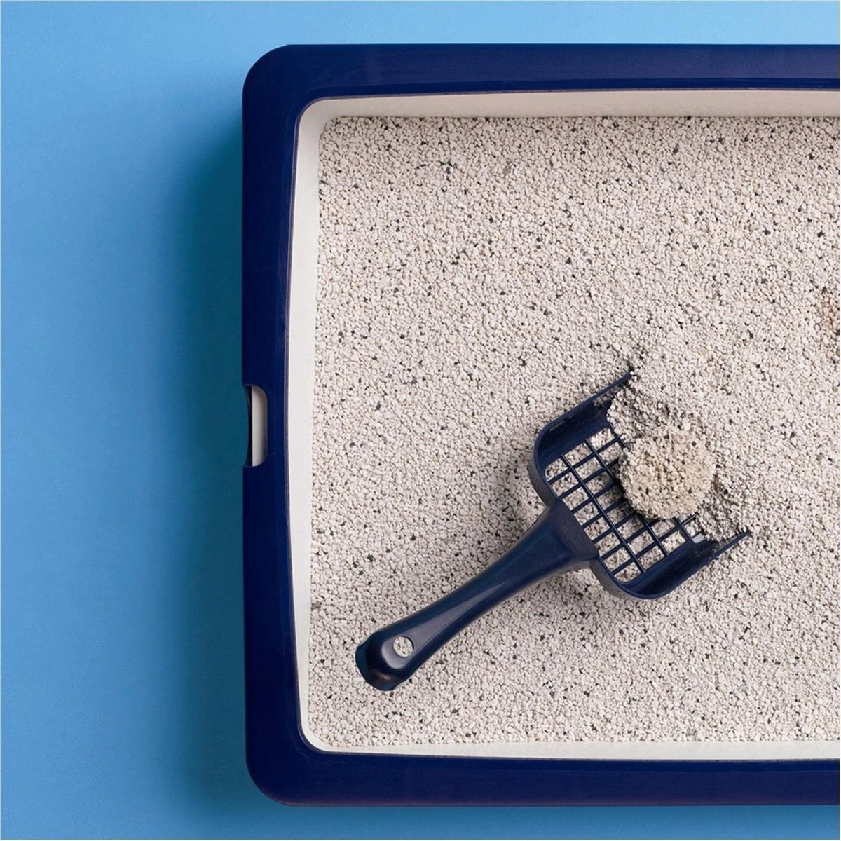 Catsan Active Fresh - Kattenbakvulling - 8 L 5 Catsan Active Fresh - Kattenbakvulling - 8 L - Afbeelding 3