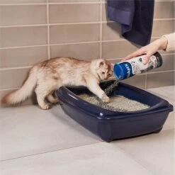 Biokat's Active Pearls - 700 Ml - Toevoeging Voor Kattenbakvulling Met Actieve Kool 13 Biokat's Active Pearls - 700 Ml - Toevoeging Voor Kattenbakvulling Met Actieve Kool -Kattenbenodigdheden 1200x1200 545