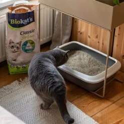 Biokat's Classic Fresh 3in1 - 18 L - Kattenbakvulling - Klontvormend - Lente Geur 14 Biokat's Classic Fresh 3in1 - 18 L - Kattenbakvulling - Klontvormend - Lente Geur -Kattenbenodigdheden 1200x1200 580