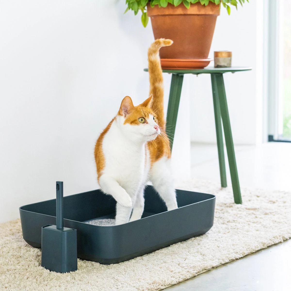 Hoopo® Poh Kattenbak Grijs - Open Kattenbak - Design Kattenbak - Kattenbakschep - 50x37.5x12.7 Cm - Grote Kattenbak 5 Hoopo® Poh Kattenbak Grijs - Open Kattenbak - Design Kattenbak - Kattenbakschep - 50x37.5x12.7 Cm - Grote Kattenbak - Afbeelding 3