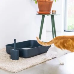 Hoopo® Poh Kattenbak Grijs - Open Kattenbak - Design Kattenbak - Kattenbakschep - 50x37.5x12.7 Cm - Grote Kattenbak 13 Hoopo® Poh Kattenbak Grijs - Open Kattenbak - Design Kattenbak - Kattenbakschep - 50x37.5x12.7 Cm - Grote Kattenbak -Kattenbenodigdheden 1200x1200 593