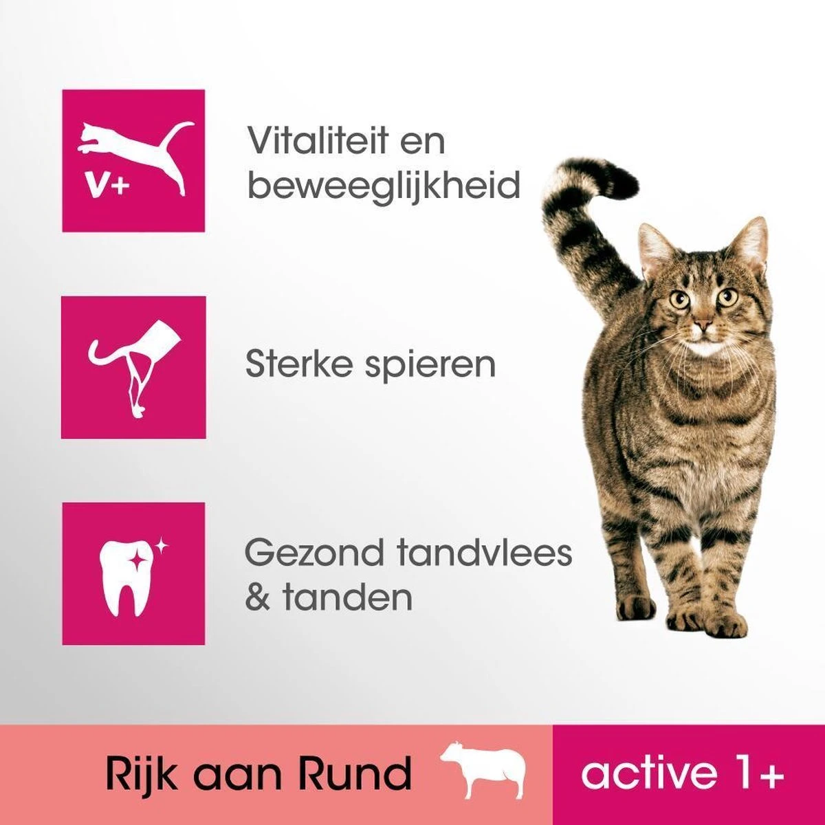 Perfect Fit Active 1+ Katten Droogvoer - Rund - 4 X 750 Gr 6 Perfect Fit Active 1+ Katten Droogvoer - Rund - 4 X 750 Gr - Afbeelding 4