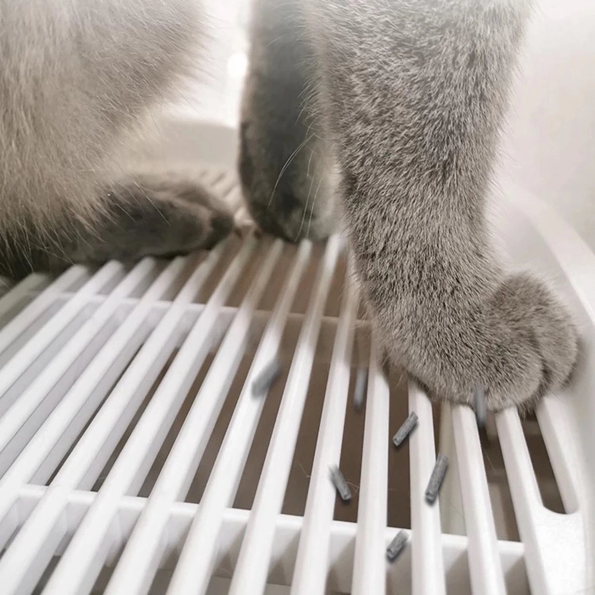 YA Products Kattenbak Space Series - Grote Kattenbak - Kattenbak Met Lade Inclusief Schep 5 YA Products Kattenbak Space Series - Grote Kattenbak - Kattenbak Met Lade Inclusief Schep - Afbeelding 3