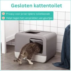 Kattenbak - 2 Uitgangen - Kattentoilet - Uitschuifbare Bodem - Met Schepje - Grijs 53 X 40 X 40 Cm 12 Kattenbak - 2 Uitgangen - Kattentoilet - Uitschuifbare Bodem - Met Schepje - Grijs 53 X 40 X 40 Cm -Kattenbenodigdheden 1200x1200 650
