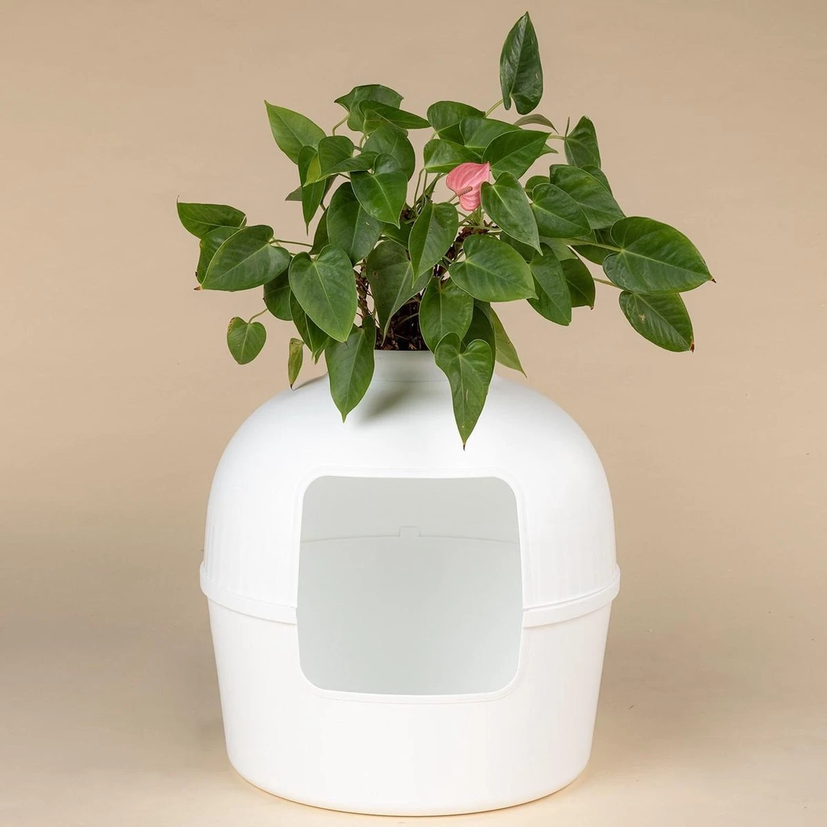 XXL Kattenbak – Verborgen Kattentoilet – Flower XXL Wit Voor Grote Katten Van RHRQuality 4 XXL Kattenbak – Verborgen Kattentoilet – Flower XXL Wit Voor Grote Katten Van RHRQuality - Afbeelding 2