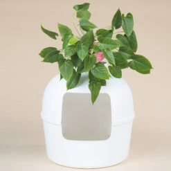 XXL Kattenbak – Verborgen Kattentoilet – Flower XXL Wit Voor Grote Katten Van RHRQuality 17 XXL Kattenbak – Verborgen Kattentoilet – Flower XXL Wit Voor Grote Katten Van RHRQuality -Kattenbenodigdheden 1200x1200 662