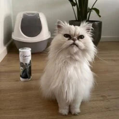 Catuals Kattenbakvulling Geurverdrijver - Neutraliseert Urinegeur Van Katten - Baby Care - 1kg -Kattenbenodigdheden 1200x1200 688