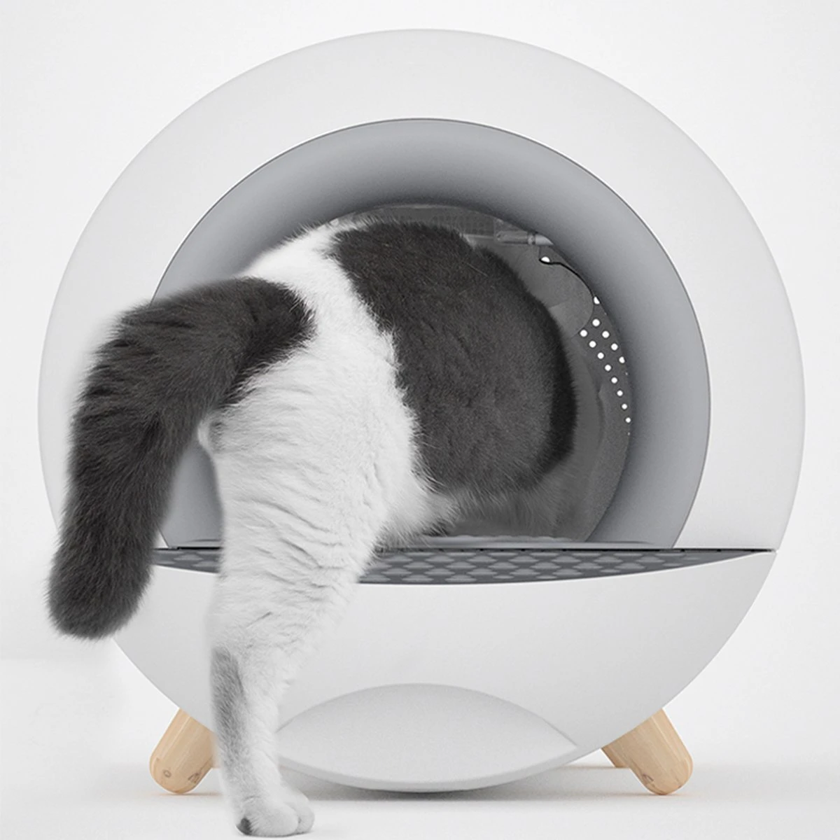 XL Kattenbak - Tunnel Met Geurfilter En Lade - Design Kattenbak 7 XL Kattenbak - Tunnel Met Geurfilter En Lade - Design Kattenbak - Afbeelding 5