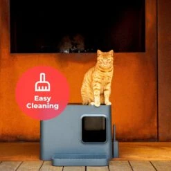 Hoopo® Dome Plus Kattenbak Grijs - Kattenbak - Kattenbakschep - 50x37.5x38cm - Grote Kattenbak 15 Hoopo® Dome Plus Kattenbak Grijs - Kattenbak - Kattenbakschep - 50x37.5x38cm - Grote Kattenbak -Kattenbenodigdheden 1200x1200 731