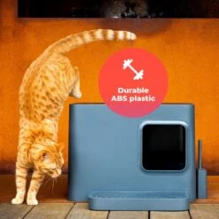 Hoopo® Dome Plus Kattenbak Grijs - Kattenbak - Kattenbakschep - 50x37.5x38cm - Grote Kattenbak 16 Hoopo® Dome Plus Kattenbak Grijs - Kattenbak - Kattenbakschep - 50x37.5x38cm - Grote Kattenbak -Kattenbenodigdheden 1200x1200 732