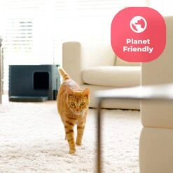 Hoopo® Dome Plus Kattenbak Grijs - Kattenbak - Kattenbakschep - 50x37.5x38cm - Grote Kattenbak 19 Hoopo® Dome Plus Kattenbak Grijs - Kattenbak - Kattenbakschep - 50x37.5x38cm - Grote Kattenbak -Kattenbenodigdheden 1200x1200 733